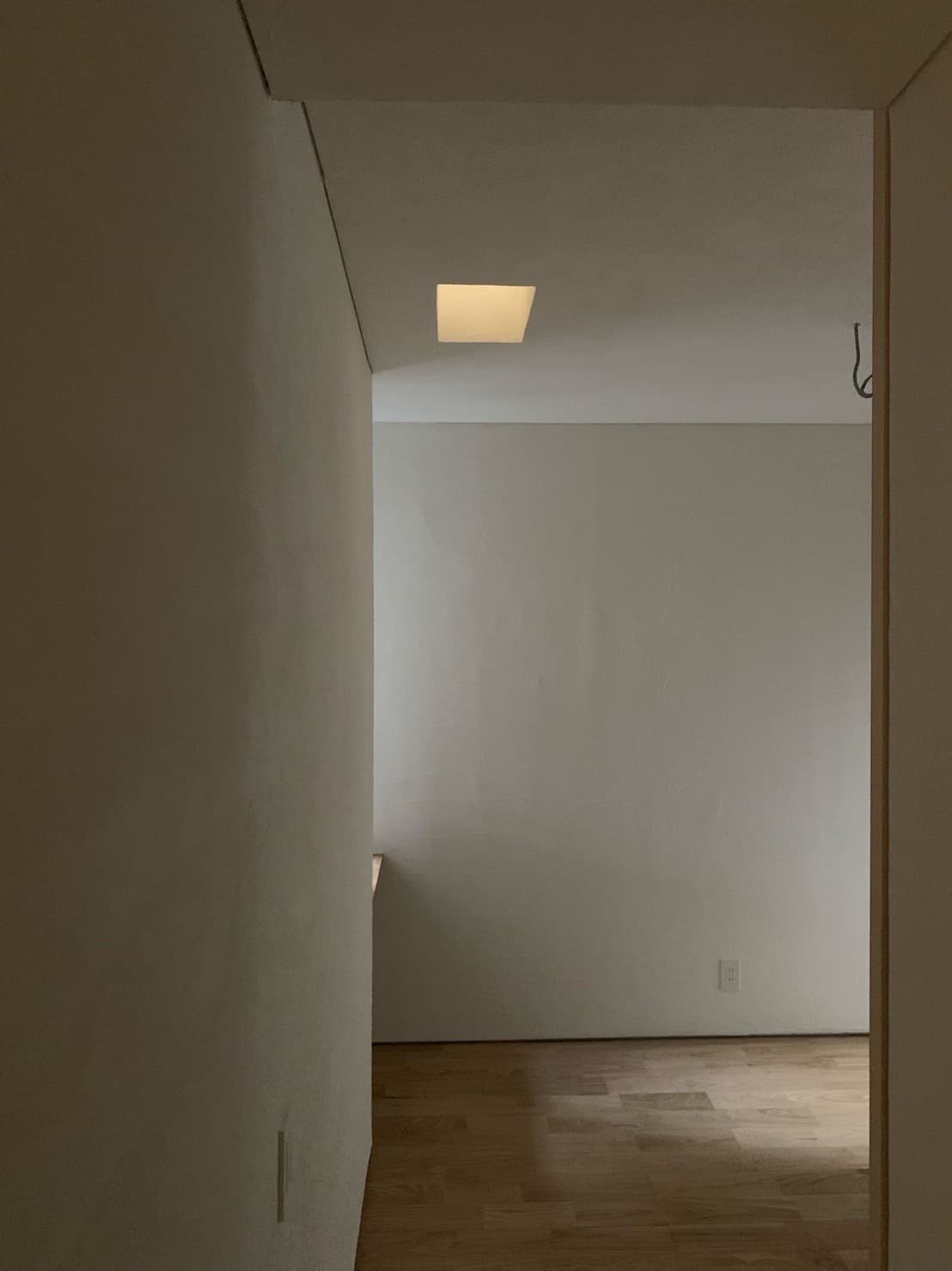 s__53264402.jpg